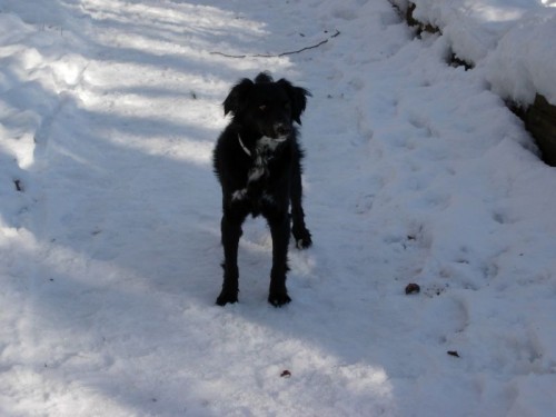 Winterimpression