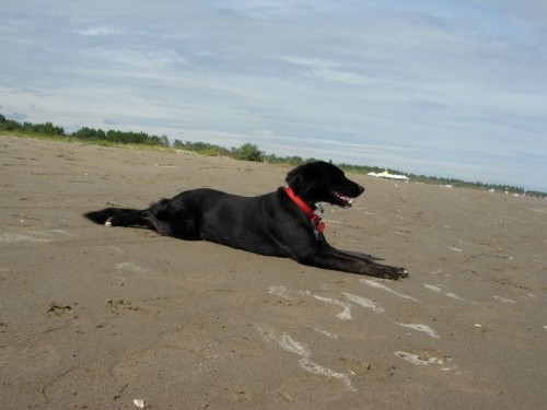 Sommer, Sonne, Strand und Meer