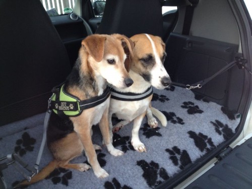 Medino und Holly, das neue Traumpaar ;-)